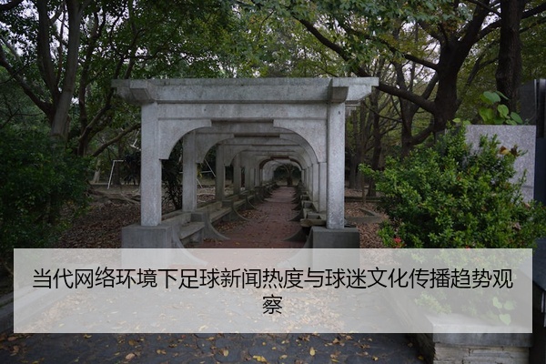 当代网络环境下足球新闻热度与球迷文化传播趋势观察