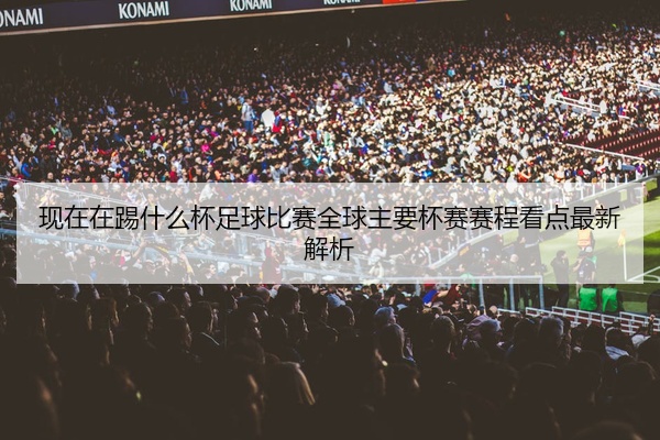 现在在踢什么杯足球比赛全球主要杯赛赛程看点最新解析