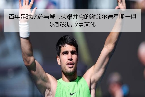 百年足球底蕴与城市荣耀并肩的谢菲尔德星期三俱乐部发展故事文化
